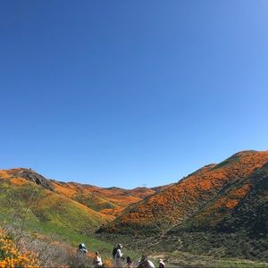 Meet your Posher, Thanh